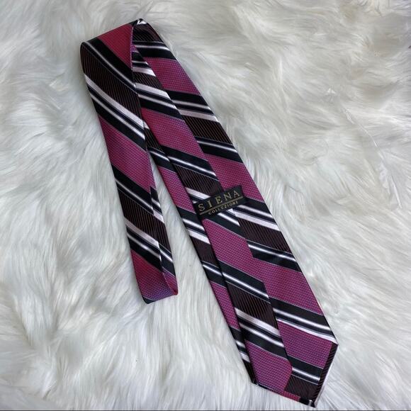 Siena Collezione Iridescente Striped Silk Neck Tie - Picture 5 of 6